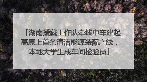 湖南援藏工作队牵线中车建起高原上首条清洁能源装配产线，本地大学生成车间检验员
