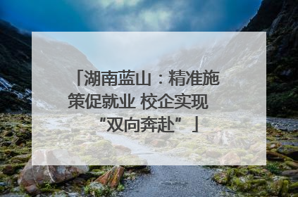 湖南蓝山：精准施策促就业 校企实现“双向奔赴”