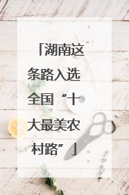湖南这条路入选全国“十大最美农村路”