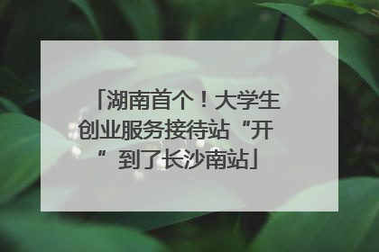 湖南首个！大学生创业服务接待站“开”到了长沙南站