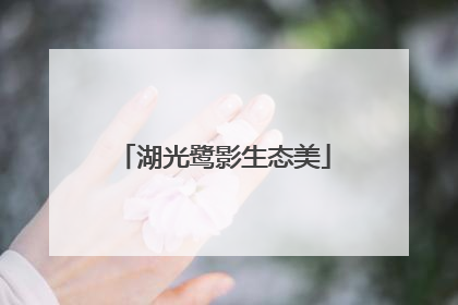 湖光鹭影生态美