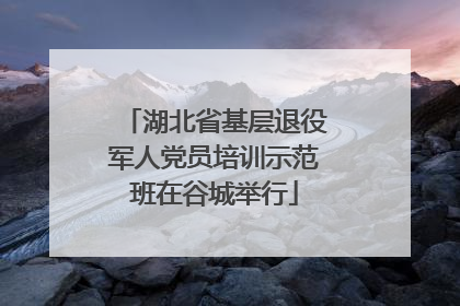 湖北省基层退役军人党员培训示范班在谷城举行