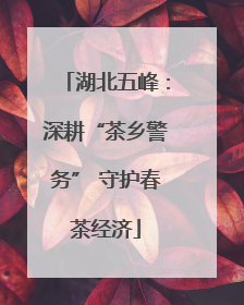 湖北五峰：深耕“茶乡警务” 守护春茶经济