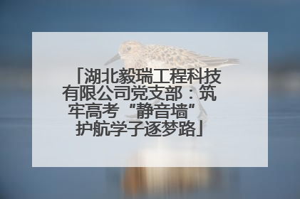 湖北毅瑞工程科技有限公司党支部：筑牢高考“静音墙” 护航学子逐梦路