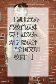 湖北民办高校首获殊荣！武汉东湖学院获评“全国文明校园”