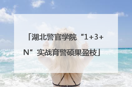 湖北警官学院“1+3+N”实战育警硕果盈枝
