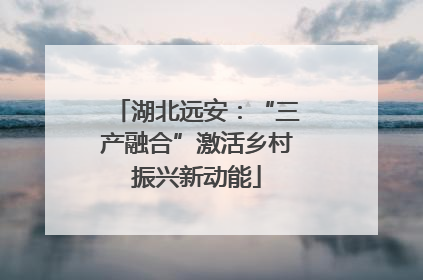 湖北远安：“三产融合”激活乡村振兴新动能