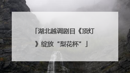 湖北越调剧目《顶灯》绽放“梨花杯”