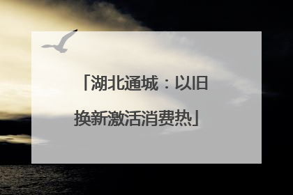 湖北通城：以旧换新激活消费热