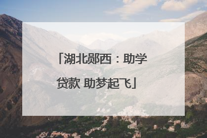 湖北郧西：助学贷款 助梦起飞