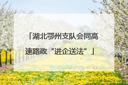 湖北鄂州支队会同高速路政“进企送法”