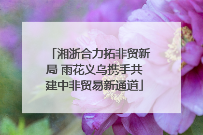 湘浙合力拓非贸新局 雨花义乌携手共建中非贸易新通道