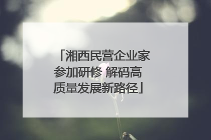 湘西民营企业家参加研修 解码高质量发展新路径