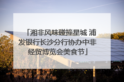湘非风味碰撞星城 浦发银行长沙分行协办中非经贸博览会美食节