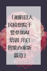湘阴县人民检察院干警参加AI培训 开启智能办案新篇章