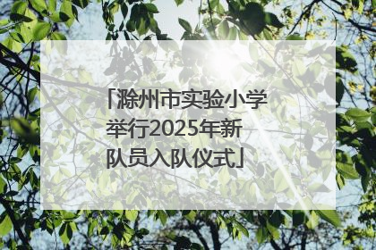 滁州市实验小学举行2025年新队员入队仪式