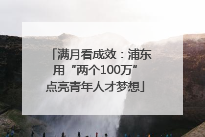满月看成效：浦东用“两个100万”点亮青年人才梦想