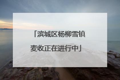 滨城区杨柳雪镇麦收正在进行中
