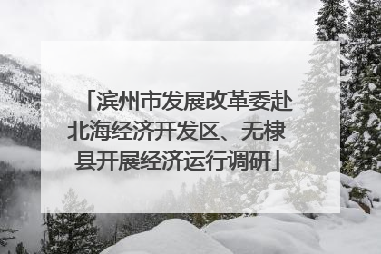 滨州市发展改革委赴北海经济开发区、无棣县开展经济运行调研