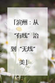 滨州：从“有线”治到“无线”美