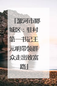 漯河市郾城区：驻村第一书记王元明带领群众走出致富路