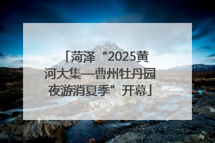 菏泽“2025黄河大集—曹州牡丹园夜游消夏季”开幕