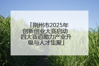 荆州市2025年创新创业大赛启动 四大赛道助力产业升级与人才集聚