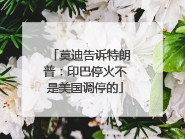 莫迪告诉特朗普：印巴停火不是美国调停的