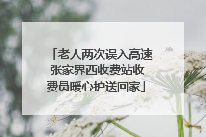 老人两次误入高速 张家界西收费站收费员暖心护送回家