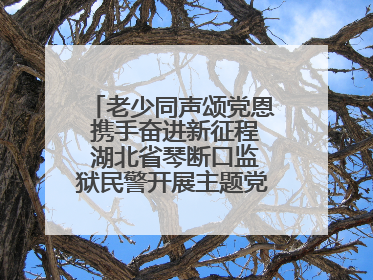 老少同声颂党恩 携手奋进新征程 湖北省琴断口监狱民警开展主题党日活动