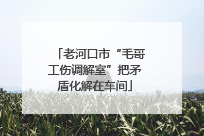 老河口市“毛哥工伤调解室”把矛盾化解在车间