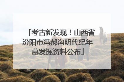考古新发现！山西省汾阳市冯郝沟明代纪年墓发掘资料公布