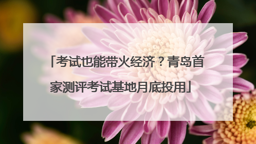 考试也能带火经济？青岛首家测评考试基地月底投用