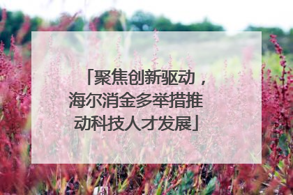 聚焦创新驱动，海尔消金多举措推动科技人才发展