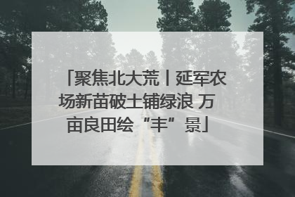 聚焦北大荒丨延军农场新苗破土铺绿浪 万亩良田绘“丰”景