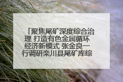 聚焦尾矿深度综合治理 打造有色金属循环经济新模式 张金良一行调研栾川县尾矿库综合治理工作