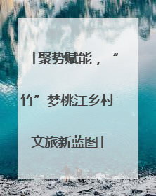 聚势赋能，“竹”梦桃江乡村文旅新蓝图