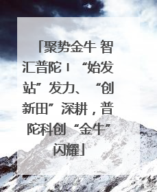 聚势金牛 智汇普陀〡“始发站”发力、“创新田”深耕，普陀科创“金牛”闪耀