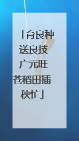 育良种 送良技 广元旺苍稻田插秧忙