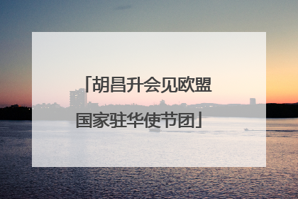 胡昌升会见欧盟国家驻华使节团