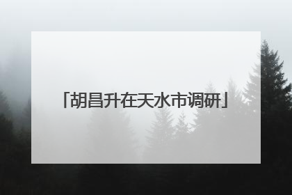 胡昌升在天水市调研