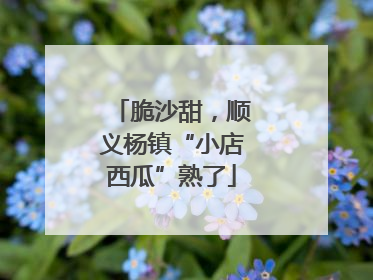 脆沙甜，顺义杨镇“小店西瓜”熟了