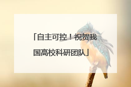 自主可控！祝贺我国高校科研团队
