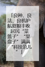 良种、良法、良机护航夏粮丰收 居民“菜篮子”“果盘子”满满“科技范儿”