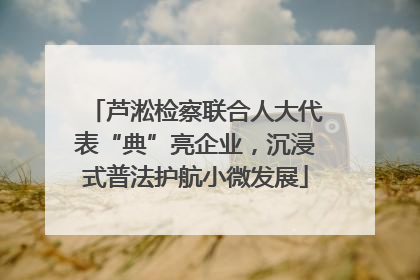 芦淞检察联合人大代表“典”亮企业，沉浸式普法护航小微发展