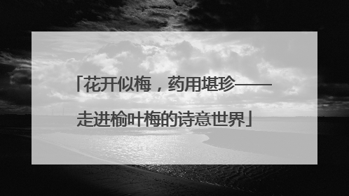 花开似梅，药用堪珍——走进榆叶梅的诗意世界