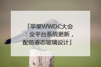 苹果WWDC大会：全平台系统更新，配备液态玻璃设计