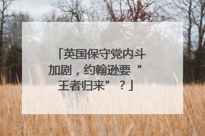 英国保守党内斗加剧，约翰逊要“王者归来”？