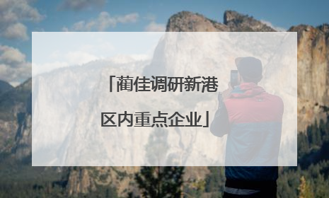 蔺佳调研新港区内重点企业