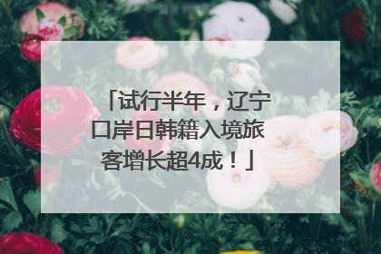 试行半年，辽宁口岸日韩籍入境旅客增长超4成！